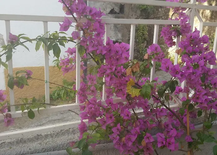 Il Pergolato Bari Sardo