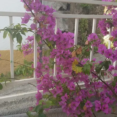 Il Pergolato Bari Sardo